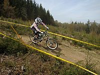 DSCF5632
